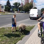 363533582_298831766151571_2828179119227171315_n