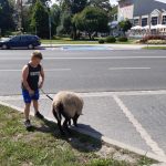 363854030_985366429416434_7745891802191137738_n