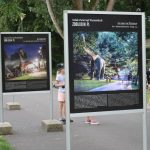 Noc Dinozaurów 2023-2