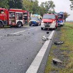 Gogołowice wypadek czołowy (9)