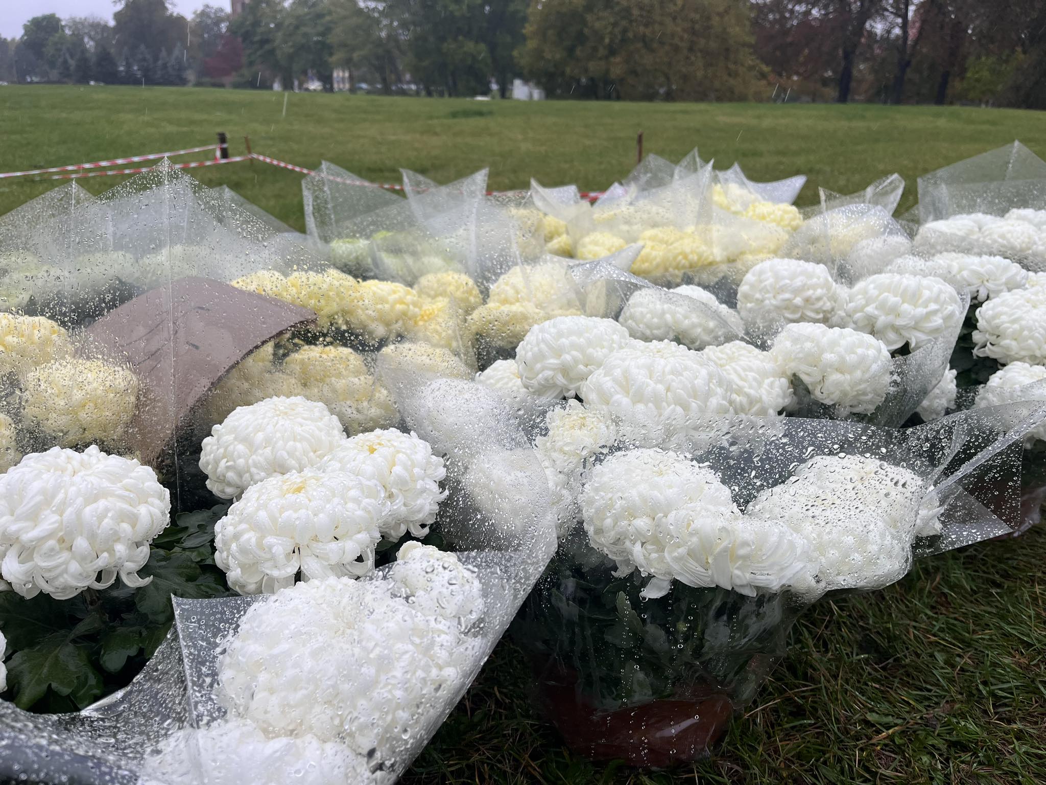 Chryzantemy i znicze od dziś na błoniach