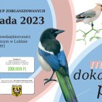 tło FB (1)