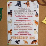 Przedszkole Zielone, TOZ, pies (3)