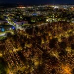 cmentarz Lubin 1.11.2023-7