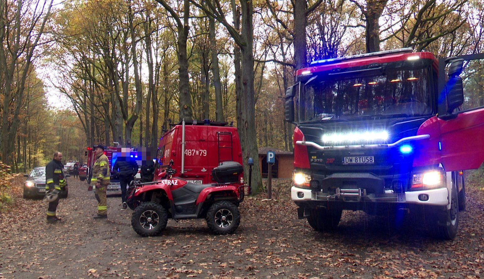 Kilkudziesięciu ratowników szukało zaginionego grzybiarza