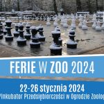 II_tura_popołudnie_ferie2024