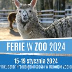 I_tura_popołudnie_ferie2024