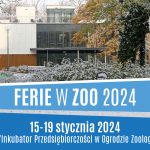 I_tura_rano_ferie2024