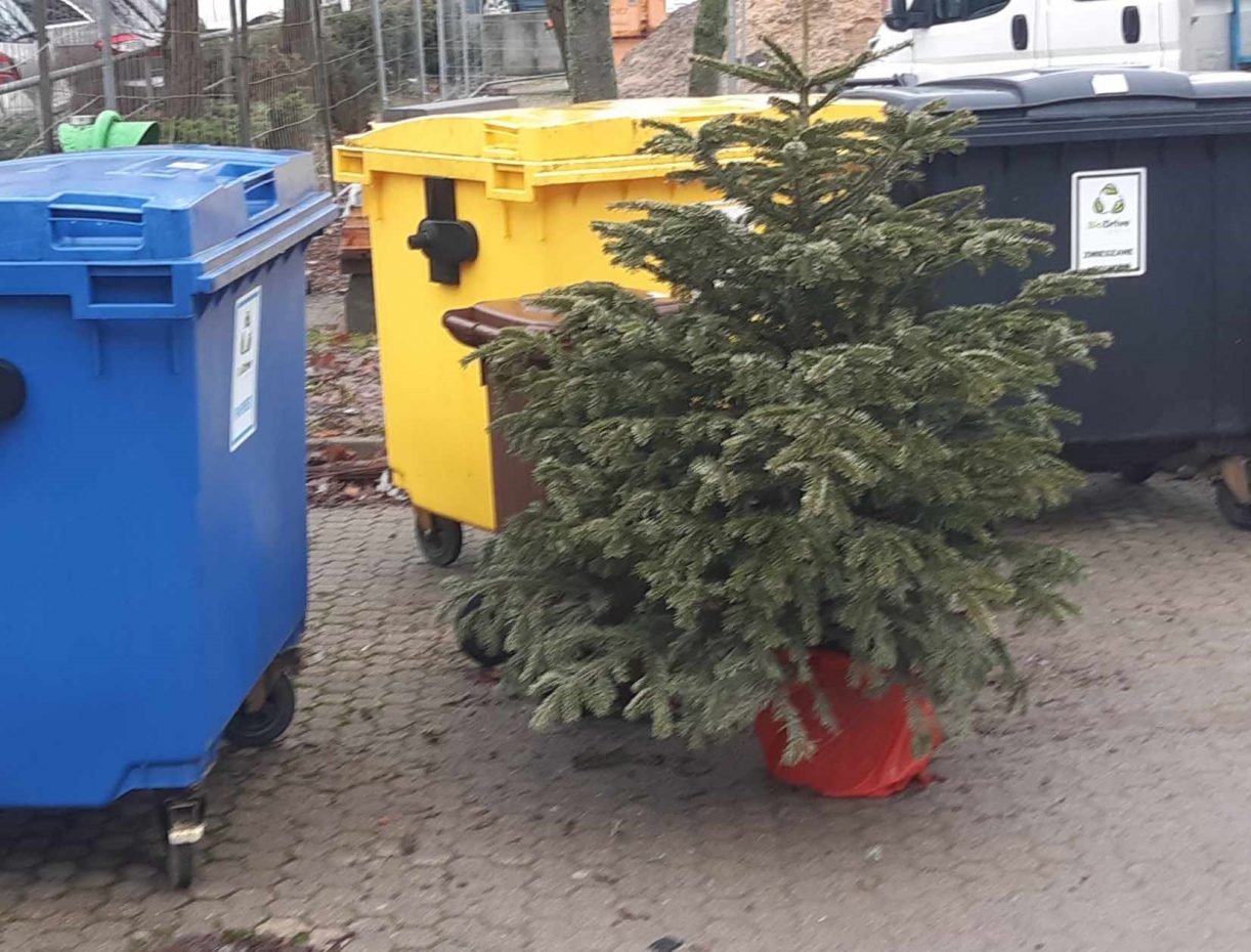 Święta i po świętach – co zrobić z choinką?