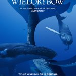 Pieśni-Wielorybów-plakat