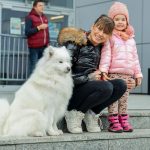 wystawa psów rasowych, hala, 2024 (1)