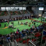 wystawa psów rasowych, hala, 2024 (44)
