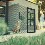 Schronisko dla zwierząt wizualizacje (14)