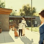 Schronisko dla zwierząt wizualizacje (17)