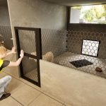 Schronisko dla zwierząt wizualizacje (9)