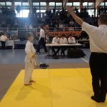 ju jitsu (6)