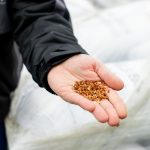 kghm, sierpol, wizyta studyjna (50)