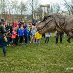 nowe figury, zoo, dinozaur, żywy dinozaur, chodzący, pierwszy dzień wiosny, 2024 (14)