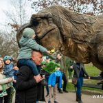 nowe figury, zoo, dinozaur, żywy dinozaur, chodzący, pierwszy dzień wiosny, 2024 (18)