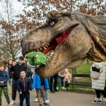 nowe figury, zoo, dinozaur, żywy dinozaur, chodzący, pierwszy dzień wiosny, 2024 (19)