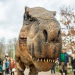 nowe figury, zoo, dinozaur, żywy dinozaur, chodzący, pierwszy dzień wiosny, 2024 (20)
