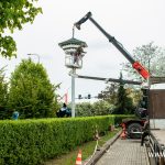 budki lęgowe dla jaskółek, zoo, 2024 (11)