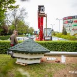 budki lęgowe dla jaskółek, zoo, 2024 (4)