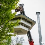 budki lęgowe dla jaskółek, zoo, 2024 (7)