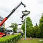budki lęgowe dla jaskółek, zoo, 2024 (9)