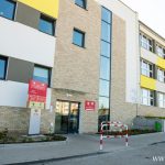 soszw, sadzenie drzewek (10)