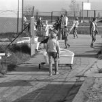 358_Jacht_Klub_Chalkos_Zalew_Małomicki_Jerzy_Kosiński