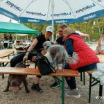 Bieg na cztery łapy fundacja Life Code_20240518_TF006