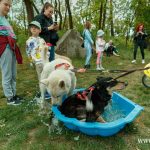 Bieg na cztery łapy fundacja Life Code_20240518_TF058