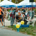Bieg na cztery łapy fundacja Life Code_20240518_TF063