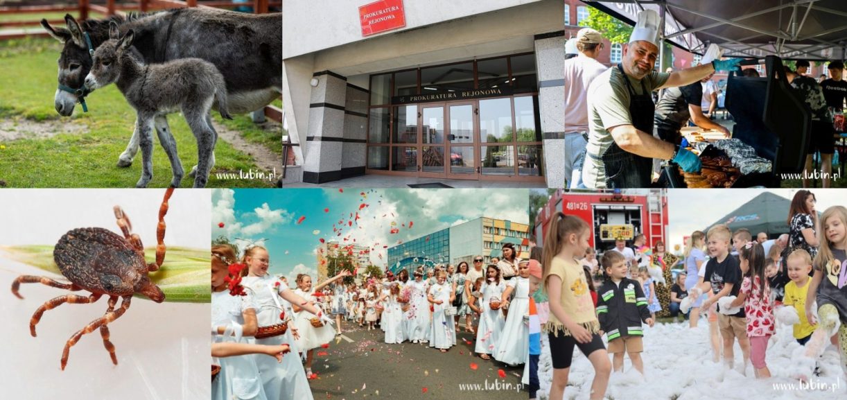 Podsumowanie wydarzeń tygodnia