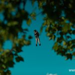 SOSzW kielich 20240516_TF017