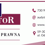 audytor_baner