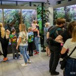 zoo. 10. urodziny (11)