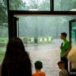 zoo. 10. urodziny (6)