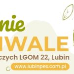 Letnie festiwale – 1068×200 – 3