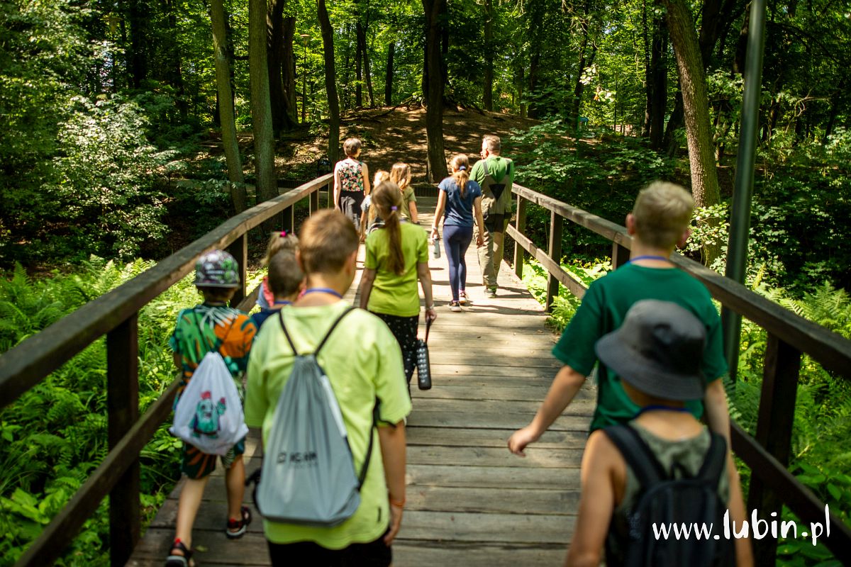 Ruszają zapisy na sierpniowe zajęcia w zoo