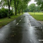 Cyklostrada Dolnośląska Trasa Miedziana droga rowerowa (2)