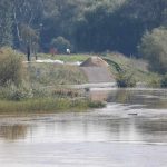 Most Ciechanów-Radoszyce, Odra (13)