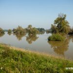 Odra, Chobienia, Radoszyce (2)