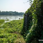 Odra, Chobienia, Radoszyce (23)