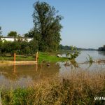 Odra, Chobienia, Radoszyce (25)