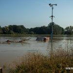 Odra, Chobienia, Radoszyce (27)