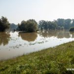 Odra, Chobienia, Radoszyce (3)