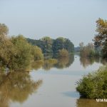 Odra, Chobienia, Radoszyce (6)