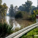 Odra, Chobienia, Radoszyce (9)